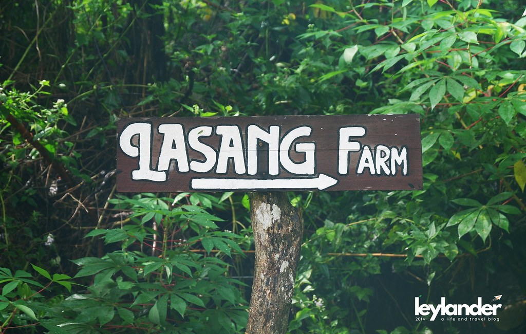 Lasang Farm