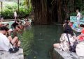 LEY - Balete Tree