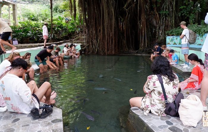 The Balete Tree in Siquijor: A Memorable Stop Beneath a Giant Tree
